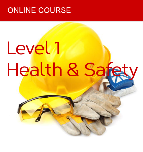 online course health safety level 1